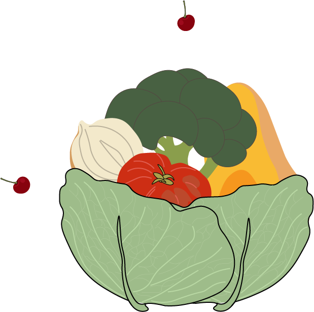 Opg Vidaić Logo